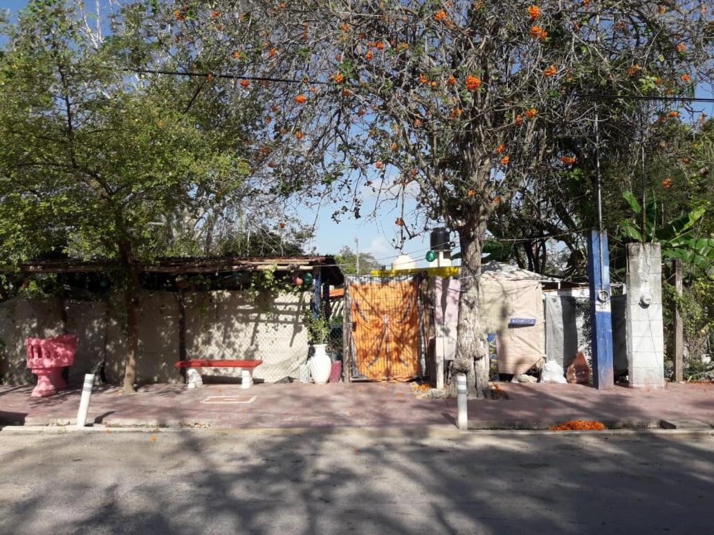 Hostal Y Camping Las G Bacalar Exteriör bild